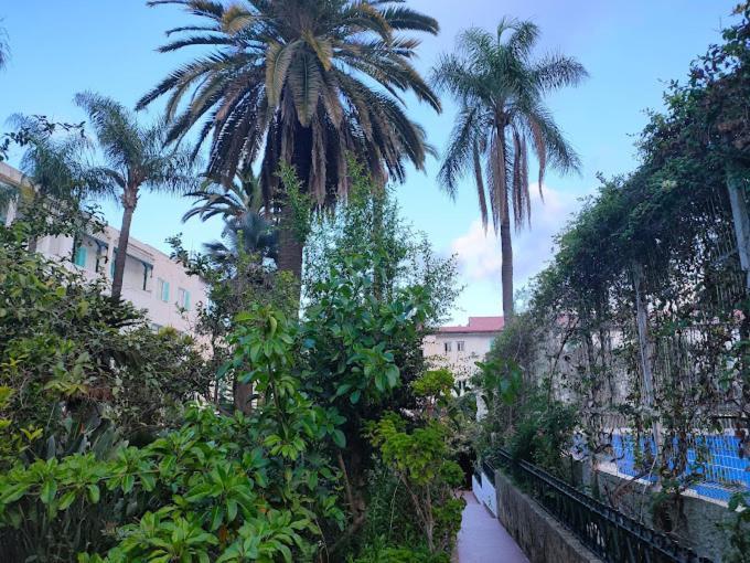 Hotel El Djazair El Mouradia ภายนอก รูปภาพ